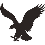 American Eagle Outfitters, Inc.