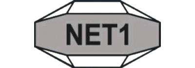Net 1 Ueps Technologies Inc.